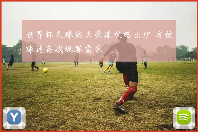 世界杯足球购买渠道攻略出炉 方便球迷备战观赛需求