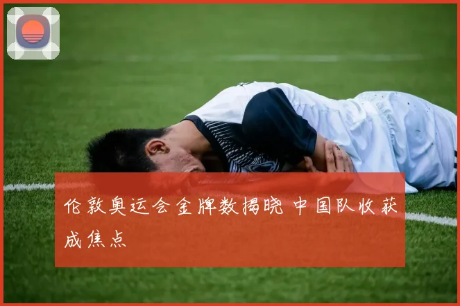 伦敦奥运会金牌数揭晓 中国队收获成焦点