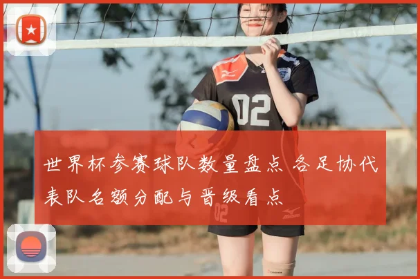 世界杯参赛球队数量盘点 各足协代表队名额分配与晋级看点