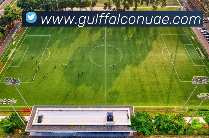 世界杯参赛球队数量盘点 各足协代表队名额分配与晋级看点